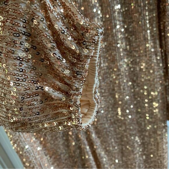 Preston & York Rosa Jewel Neck Long Blouson Sleeve Sequin Dress | NWT | Size 8 - Picture 5 of 6